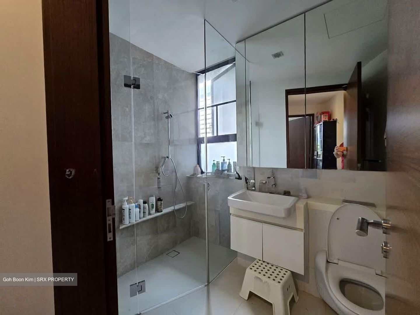 D'Leedon (D10), Condominium #532139371